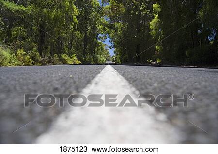 a white line down the middle of the road View Large Photo Image Stock Image - a white line down the middle of the road. Fotosearch