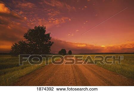 Stock Image - alberta, canada; a country road at dusk. Fotosearch