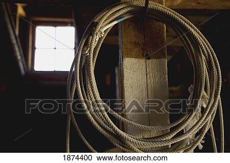 alberta, canada; a lasso hanging in a barn View Large Photo Image Stock Image - alberta, canada; a lasso hanging in a barn. Fotosearch