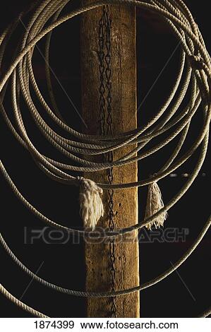 Stock Photo - alberta, canada; a lasso hanging in a barn. Fotosearch