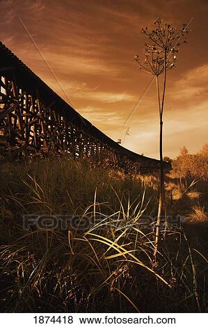 Stock Photo - alberta, canada; a train trestle in a sunset. Fotosearch