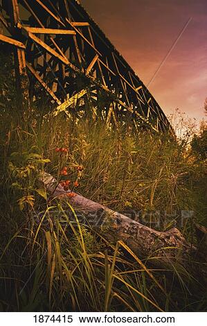 Stock Photography - alberta, canada; a train trestle viewed from a low angle in the long grass. Fotosearch