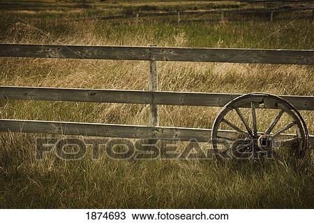 alberta, canada; a wagon wheel leaning against an old fence View Large Photo Image Stock Image - alberta, canada; a wagon wheel leaning against an old fence. Fotosearch