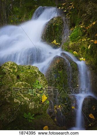alberta, canada; a waterfall over moss covered rocks View Large Photo Image Stock Photography - alberta, canada; a waterfall over moss covered rocks. Fotosearch