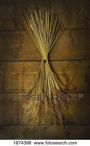 Stock Photo - alberta, canada; wheat on a barn wall. Fotosearch