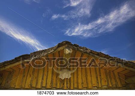 Stock Image - camrose, alberta, canada; the roof of an old barn with an animal's skull hanging on it. Fotosearch