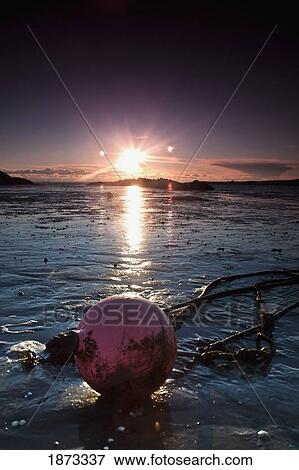 dumfries, scotland; a rope tied to a buoy laying in the tide on the shore at sunset View Large Photo Image Stock Photo - dumfries, scotland; a rope tied to a buoy laying in the tide on the shore at sunset. Fotosearch