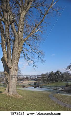 Stock Image - dumfries, scotland; a trail through a park. Fotosearch