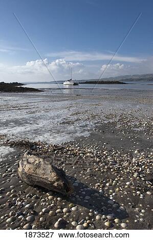 dumfries, scotland; rocks and driftwood on the shore with the tide View Large Photo Image Stock Photo - dumfries, scotland; rocks and driftwood on the shore with the tide. Fotosearch