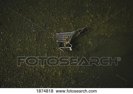 edmonton, alberta, canada; a shopping cart in the river View Large Photo Image Stock Photo - edmonton, alberta, canada; a shopping cart in the river. Fotosearch