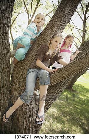 edmonton, alberta, canada; three girls sitting in a tree View Large Photo Image Stock Image - edmonton, alberta, canada; three girls sitting in a tree. Fotosearch