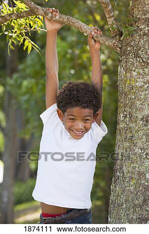 fort lauderdale, florida, united states of america; a boy hanging from a tree branch View Large Photo Image Stock Image - fort lauderdale, florida, united states of america; a boy hanging from a tree branch. Fotosearch