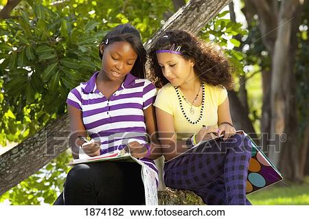 fort lauderdale, florida, united states of america; two teenage girls doing school work in the park View Large Photo Image Stock Image - fort lauderdale, florida, united states of america; two teenage girls doing school work in the park. Fotosearch