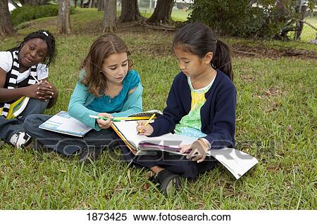fort lauderdale, florida, united states of america; three girls doing school work in the park View Large Photo Image Stock Photography - fort lauderdale, florida, united states of america; three girls doing school work in the park. Fotosearch