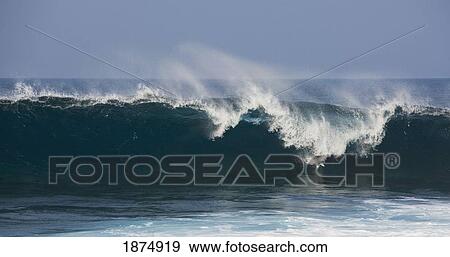 Stock Photo - hawaii, united states of america; large incoming ocean wave breaking into a curl. Fotosearch