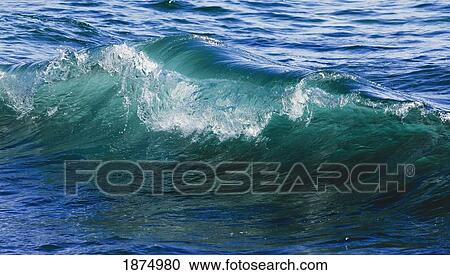 Stock Image - hawaii, united states of america; breaking water forms smooth curl in clear sea water. Fotosearch