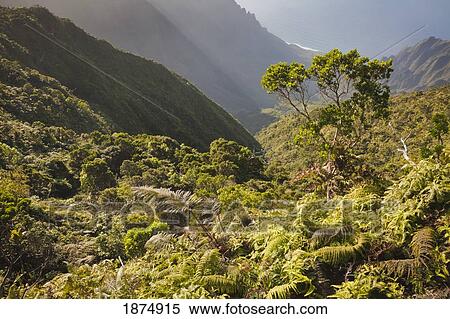 hawaii, united states of america; view from pihea trail down steep vertical side of kalalau valley along the napali coast View Large Photo Image Stock Photography - hawaii, united states of america; view from pihea trail down steep vertical side of kalalau valley along the napali coast. Fotosearch