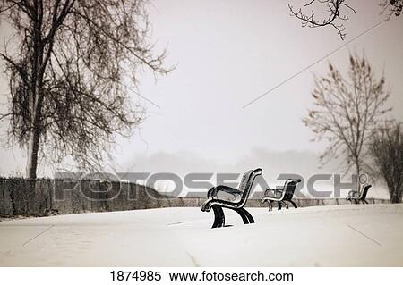 Stock Photography - jordan, ontario, canada; benches along a trail in the snow. Fotosearch
