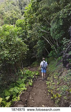 kauai, hawaii, united states of america; hiker on kalalau trail, na pali coast View Large Photo Image Stock Photography - kauai, hawaii, united states of america; hiker on kalalau trail, na pali coast. Fotosearch