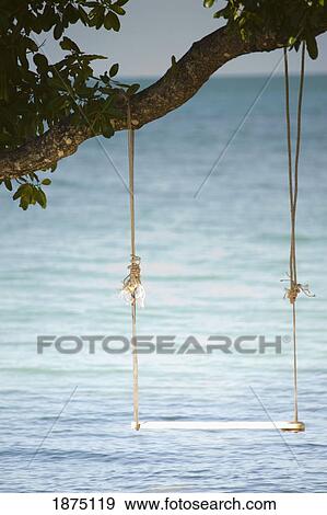 koh chang, thailand; a swing hanging from a tree branch by the water View Large Photo Image Stock Photo - koh chang, thailand; a swing hanging from a tree branch by the water. Fotosearch