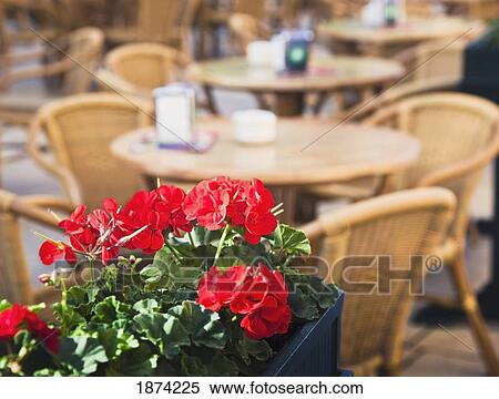 malaga, costa del sol, spain; terrace tables outside bodega el pimpi restaurant View Large Photo Image Stock Photography - malaga, costa del sol, spain; terrace tables outside bodega el pimpi restaurant. Fotosearch