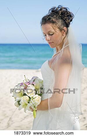 mayan riviera, akumal, mexico; bride on the beach at gran bahia principe tulum all-inclusive resort View Large Photo Image Stock Photo - mayan riviera, akumal, mexico; bride on the beach at gran bahia principe tulum all-inclusive resort. Fotosearch