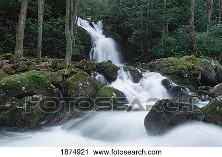 Stock Image - north carolina, united states of america; mouse creek falls after a rain storm in the great smoky mountains national park. Fotosearch