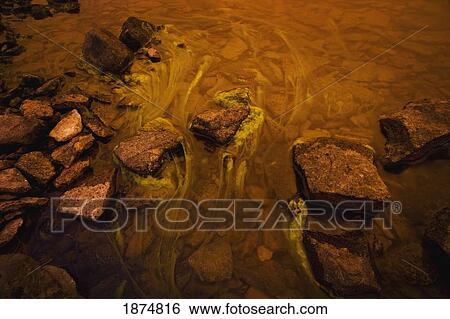 Stock Photograph - northwest territories, canada; algae in the river. Fotosearch