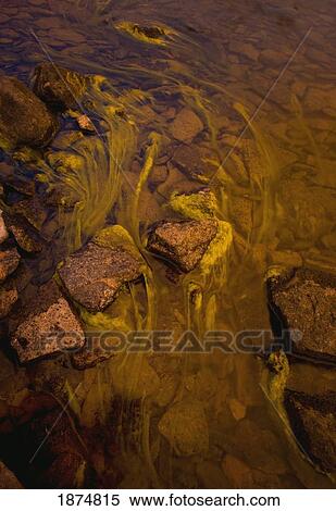 Stock Photography - northwest territories, canada; algae in the river. Fotosearch