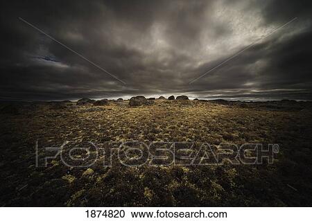 northwest territories, canada; arctic tundra View Large Photo Image Stock Image - northwest territories, canada; arctic tundra. Fotosearch