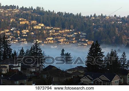 Picture - oregon, united states of america; morning fog over houses in a residential area. Fotosearch