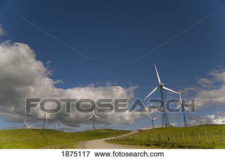 palmerston north, new zealand; wind turbines in a field with a road going through View Large Photo Image Stock Photo - palmerston north, new zealand; wind turbines in a field with a road going through. Fotosearch