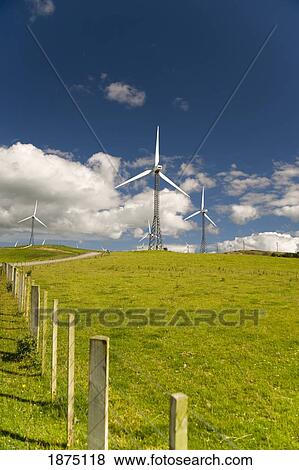palmerston north, new zealand; wind turbines in a field View Large Photo Image Stock Photo - palmerston north, new zealand; wind turbines in a field. Fotosearch