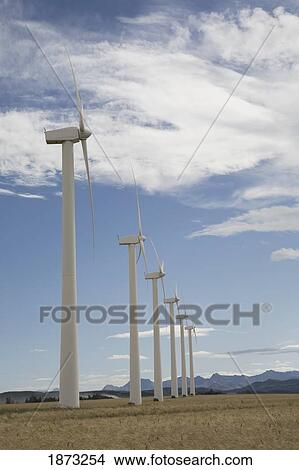 Picture - pincher creek, alberta, canada; wind turbines in a row in a wheat field. Fotosearch