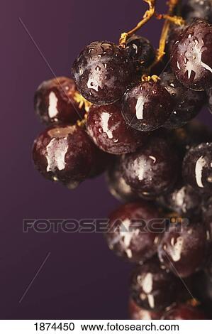 red grapes covered in water drops View Large Photo Image Stock Image - red grapes covered in water drops. Fotosearch