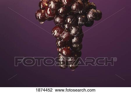 red grapes with water drops on them View Large Photo Image Stock Image - red grapes with water drops on them. Fotosearch