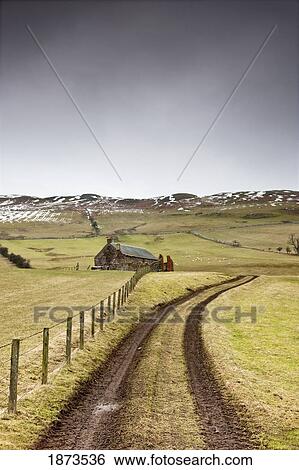 Stock Photograph - scottish borders, scotland; tire tracks forming a road along a fence with a house among the fields. Fotosearch