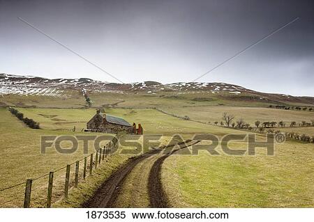 scottish borders, scotland; tire tracks forming a road along a fence with a house among the fields View Large Photo Image Stock Photography - scottish borders, scotland; tire tracks forming a road along a fence with a house among the fields. Fotosearch