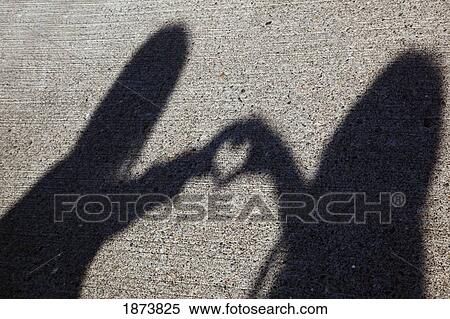shadow of two people shaping a heart with their hands View Large Photo Image Stock Photography - shadow of two people shaping a heart with their hands. Fotosearch