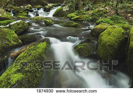 tennessee, united states of america; moss covered rocks and boulders in the roaring fork of the great smoky mountains national park View Large Photo Image Stock Image - tennessee, united states of america; moss covered rocks and boulders in the roaring fork of the great smoky mountains national park. Fotosearch