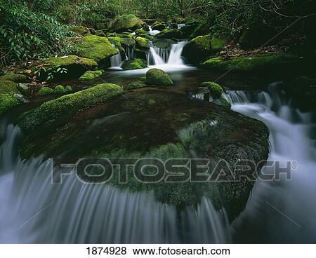 tennessee, united states of america; moss and curved cascade in the roaring fork river in great smoky mountains national park View Large Photo Image Stock Photo - tennessee, united states of america; moss and curved cascade in the roaring fork river in great smoky mountains national park. Fotosearch