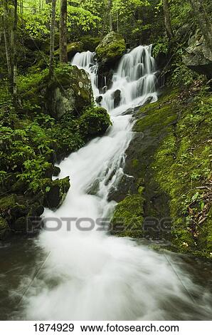 tennessee, united states of america; spring foliage and a seasonal waterfall in the great smoky mountains national park View Large Photo Image Stock Photo - tennessee, united states of america; spring foliage and a seasonal waterfall in the great smoky mountains national park. Fotosearch