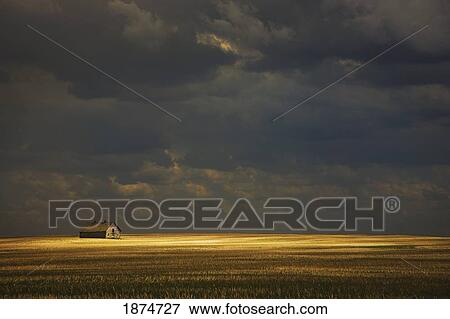 Stock Photo - tofield, alberta, canada; an old barn in a field. Fotosearch