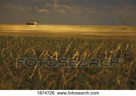 tofield, alberta, canada; an old barn in a field View Large Photo Image Stock Photograph - tofield, alberta, canada; an old barn in a field. Fotosearch