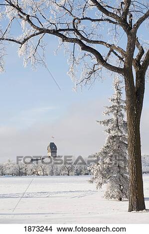 Picture - winnipeg, manitoba, canada; a snow covered field and a building in the background in the winter. Fotosearch