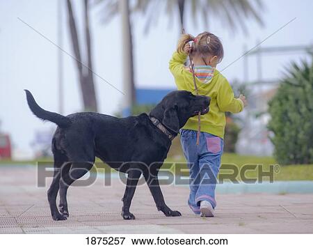 benalmadena, malaga, andalusia, spain; a young girl walks with her dog View Large Photo Image Stock Photo - benalmadena, malaga, andalusia, spain; a young girl walks with her dog. Fotosearch