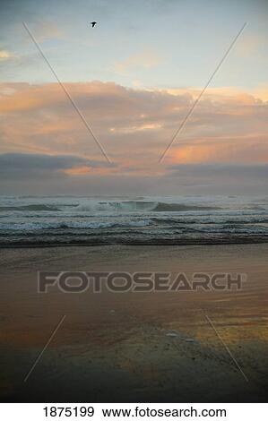 breaking waves crashing towards the shore at sunset View Large Photo Image Stock Photo - breaking waves crashing towards the shore at sunset. Fotosearch