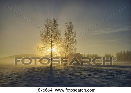 Picture - calgary, alberta, canada; a small pioneer school in a misty winter sunrise. Fotosearch
