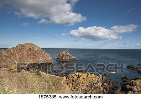 Stock Photography - coldingham, scottish borders, scotland; a rocky shoreline. Fotosearch