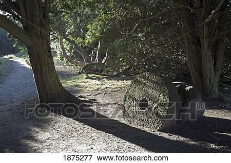 Stock Photo - derbyshire, england; a millstone along the side of a footpath on the longshaw estate in peak district national park in winter. Fotosearch